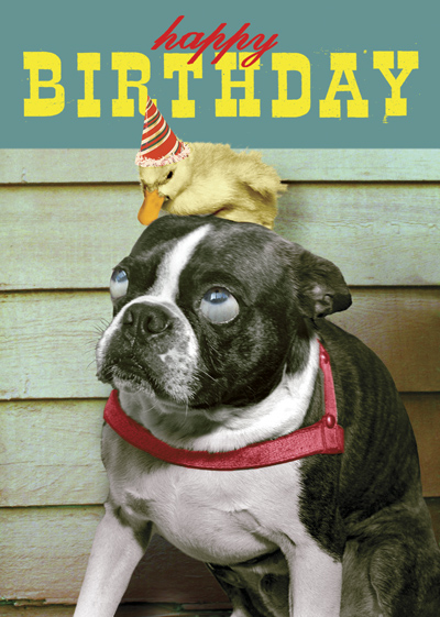 Happy Birthday Dog and Duck Greeting Card by Max Hernn - Click Image to Close